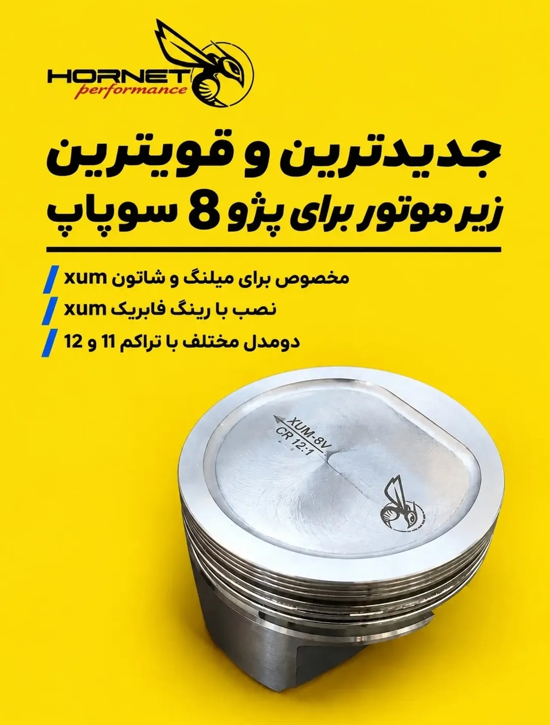 پیستون و بوش xum برند هورنت تراکم 11 به 1